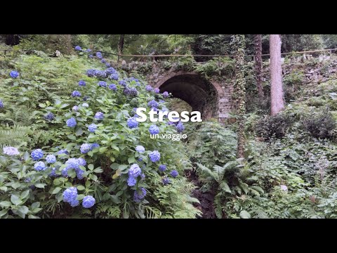 Stresa | Parco Pallavicino | Lago maggiore