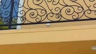 Decorative Iron Window Security | Mulholland Security 1.800.562.5770