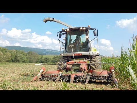 PD Dobrá Niva - Siláže kukurice 2015 - 2x CLAAS Jaguar, 5x Tatra 815, 2x JCB, John Deere