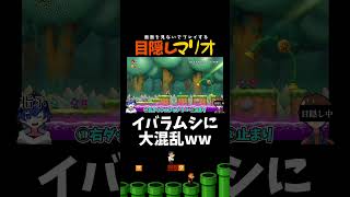 虫に戸惑わされるな！！！【目隠しマリオ】