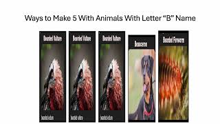 Fun With Numbers by Adding Ways to Make 5 With Animals With Letter B Name #4