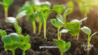 Parts of plant Explained