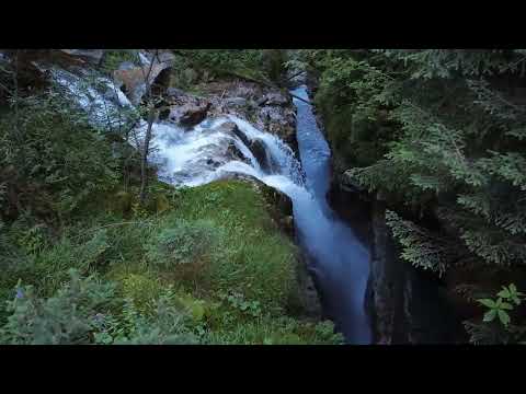 Refreshing Stream and Forest 🌿 Nature's Best for Relaxation 🌙 Perfect for ASMR