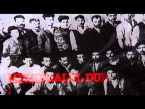 Memorialul durerii - O istorie a bravilor