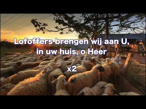 Opwekking 273 Lofoffers brengen wij aan U 1B