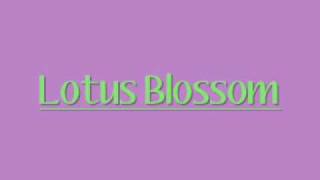 Lotus Blossom