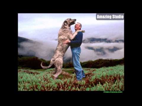 Tomorrows Gift Geier Krautrock on LSD