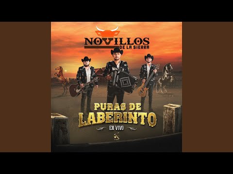 El Árbol de La Horca (En Vivo)