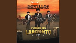 El Árbol de La Horca (En Vivo)