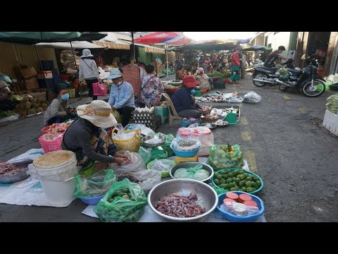Morning Market Scene at Phsa Chhbar Ampov - Walking Tour Around Chhbar Ampov Market in The Morning