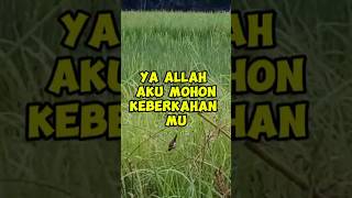 Download lagu Oh God, I ask for your blessings #sejuksehatchannel #islamic advice #grave advice mp3 Download lagu Oh God, I ask for your blessings #sejuksehatchannel #islamic advice #grave advice mp3