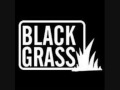 Black Grass Nice up 