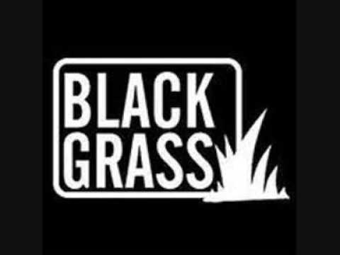 Black Grass Nice up