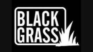 Black Grass Nice up