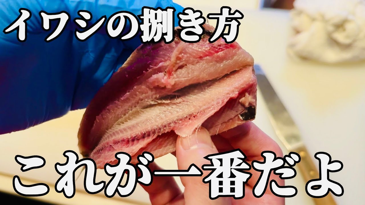 イワシはこう捌くと圧倒的な結果になります。