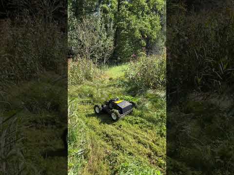 Vodex TerrainCut #funkraupe #hangmäher #farming #lawnmower #lawncare