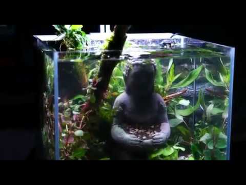 "The Lost World" Preview