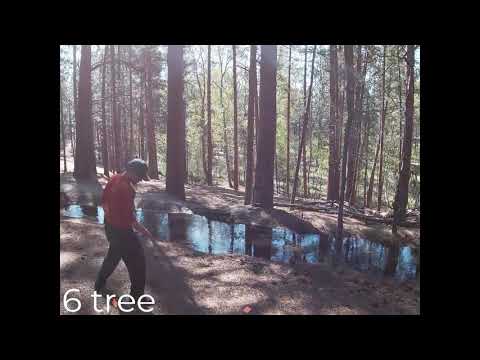 How To Hit Trees At Spiritwood