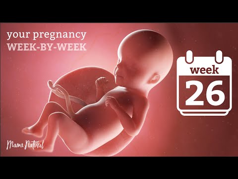26 Weeks Pregnant - Natural Pregnancy Week-By-Week