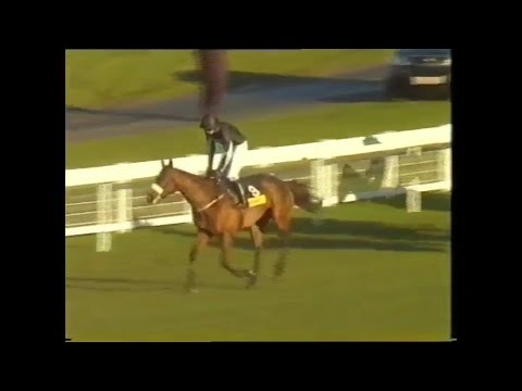 2006 Coreys Group H'Cap Chase