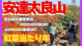 A breathtaking view you can only see now! Climbing Mt. Adatara and seeing the autumn foliage