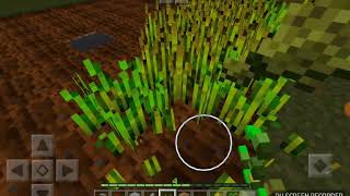 新マイクラ実況パート2