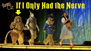 Wizard of Oz Live- If I Only Had the Nerve (Cowardly Lion)- Act I- Scene 8