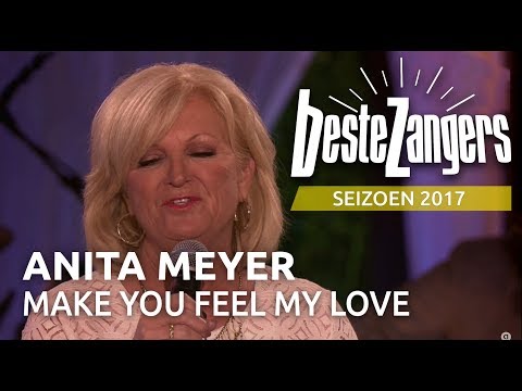Anita Meyer - Make you feel my love | Beste Zangers