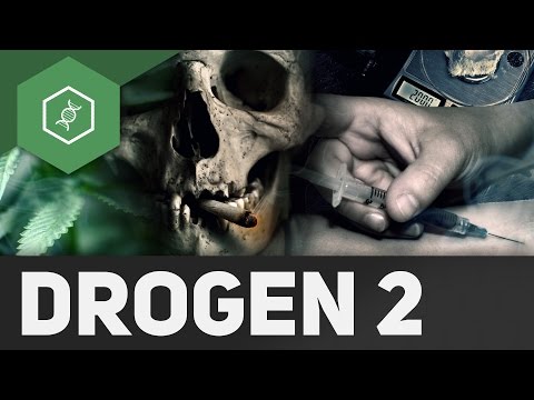 Wie wirken Drogen?! — Neurotransmittersysteme