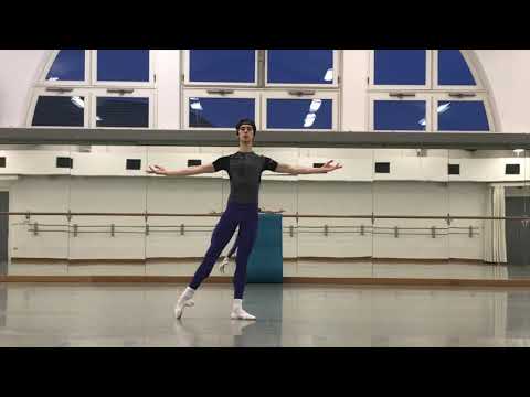 Дмитрий Выскубенко, БАЯДЕРКА. Dmitry Vyskubenko, LA BAYADERE. 2019