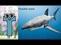 ABC Phonics Animals ABC Sea Animals Song English And Animals For Kids Alphabets Kids Song