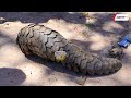 KAKAKUONA AONEKANA KAHAMA WALIOMUONA WAFUNGUKA ILIVYOKUWA ALITOKEA USIKU
