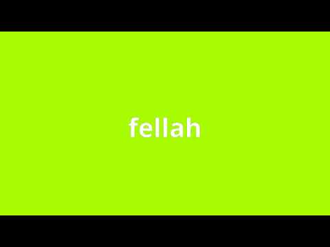 what is the meaning of fellah