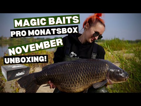 Die Magic Baits Pro Monatsbox November 2025! Alles zum Karpfenangeln im Herbst für kleine Kohle!