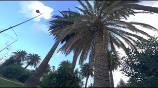 Sicily - Coastal &amp; Jackie Mendoza - La Luz