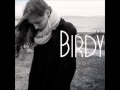 Birdy Skinny Love Instrumental 