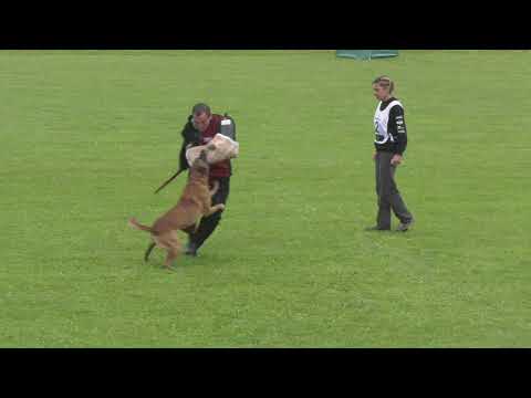 DMC Championat 2021 Duncan Dubalta SD