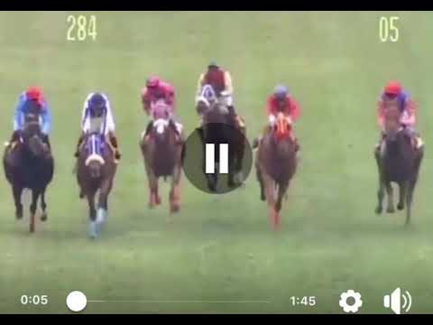 Gold Bid beats Yankee Bell - Mohammad Moorad Keerpah Free ahorse Racing Tips