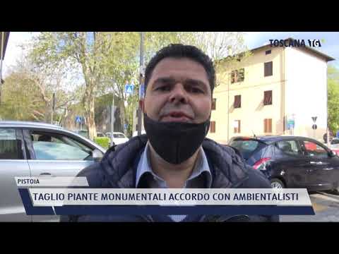 2021-04-19 PISTOIA - TAGLIO PIANTE MONUMENTALI ACCORDO CON AMBIENTALISTI