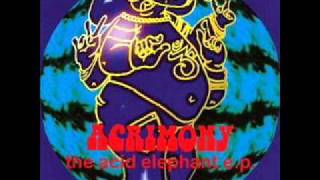 Acrimony - Fire Dance [LIVE]