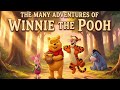 The Many Adventures Of Winnie The Pooh 1977 Kids Classical Story Disney Anthology