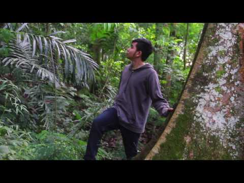 Green Hills by Sebastian Forslund [Unofficial Music Video]