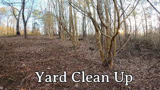 Yard Clean Up