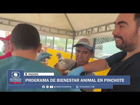 PROGRAMA DE BIENESTAR ANIMAL EN PINCHOTE