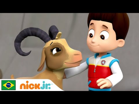 Capa de Patrulha Canina | Missão de resgate | Nick Jr. em Português