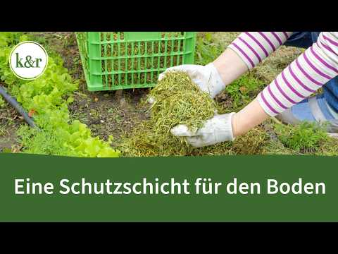 Reduce weeding, fertilize, and save water with mulch