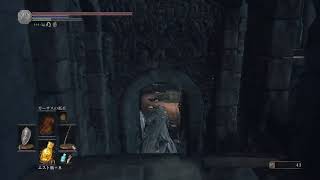 ［Dark souls 3 ］無言深夜ダークソウル　～アノールロンドから～