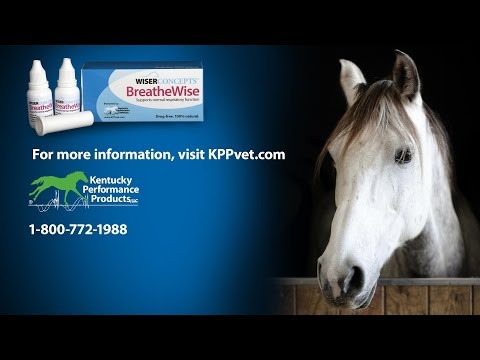 Wiser Concepts BreatheWise for Normal Respiratory Function (2000 mg) Video