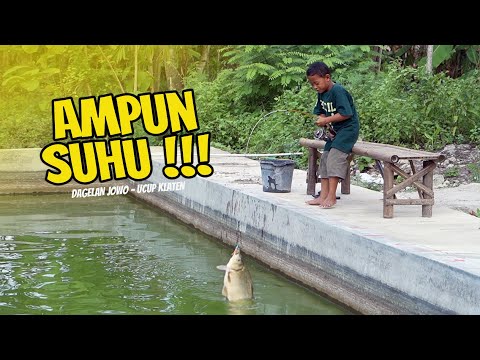 LITTLE BOY FISHING FAKE || DAGELAN JOWO New 35 - Ucup Klaten