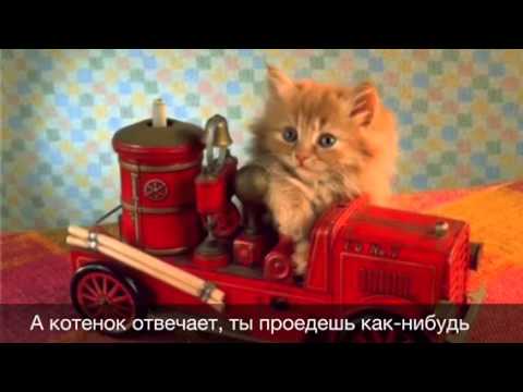 Котёнок и паровоз (песня для малышей)